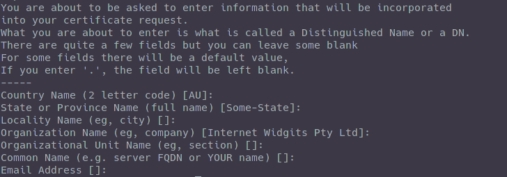 OpenSSL req command output screenshot